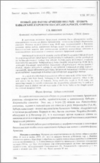 Новый для фауны Армении вид рыб-бубырь кавказский Knipowitschia caucasica (Pisces, Gobiidae)