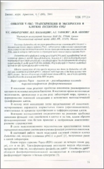 Онкоген V-SRC: транскрипция и экспрессия в клетках Escerichia coli