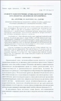Сравнительное изучение аргиназы печени лягушек Rana ridibunda до и после метаморфоза