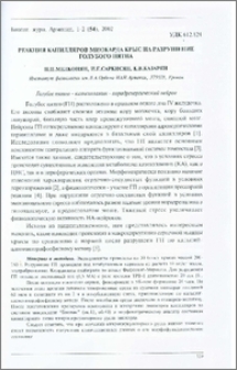Реакция капилляров миокарда крыс на разрушение голубого пятна