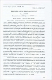 Биология Salvia viridis L. (Lamiaceae)