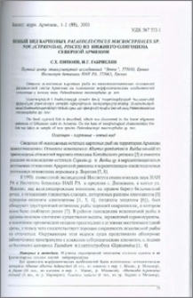 Новый вид карповых Palaeoleuciscus macrocephalus sp. nov. (Cyprinidae, Pisces) из нижнего олигоцена Северной Армении