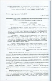 Морфофункциональное состояние печени крыс после действия электростатистического поля