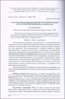 О гистоморфологии интактной и регенерирующей печени прыткой ящерицы Lacerta agilis
