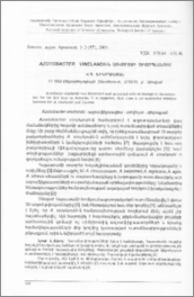 Azotobacter vinelandii-ն առվույտի ռիզոպլանում