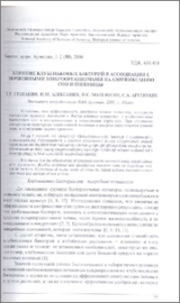 Влияние клубеньковых бактерий в ассоциации с почвенными микроорганизмами на азотфиксацию сои и пшеницы