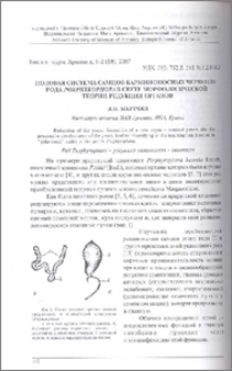 Половая система самцов карминоносных червецов рода Porphyrophora в свете морфологической теории редукции органов