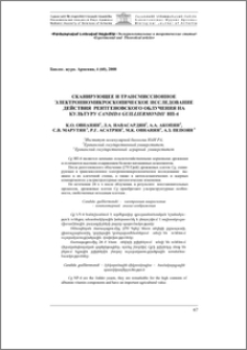 Сканирующее и трансмиссионное электронно- микроскопическое исследование действия рентгеновского облучения на культуру Candida guilliermondii НП-4