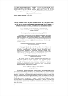 Моделирование и динамическое исследование фрагмента упрощенной мембраны эритроцита при помощи компьютерного эксперимента