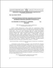Сероокисляющая бактерия, выделенная из пульпы биовыщелачивания цинкового концентрата