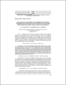 The changes of erythrocyte membranes of white outbreed rats exposed to electrostatic field with the tension exceeding the natural background