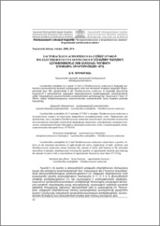 Lactobacillus acidophilus շտամ Er-2 317/402-ի և Eleutherococcus senticosus-ի մզվածքի համատեղ ազդեցությունը 8 ամսական հորթերի աղիքային միկրոբիոտայի վրա