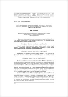 Обнаружение речного угря Anguilla anguilla в водах Армении