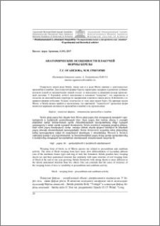 Анатомические особенности плакучей формы березы