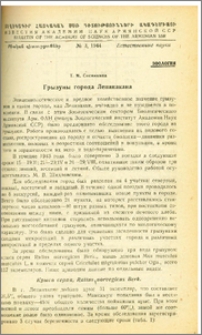 Грызуны города Ленинакана