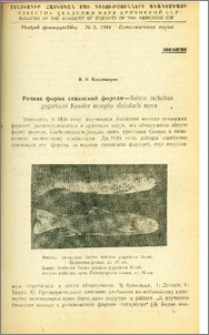 Речная форма севанской форели-Salmo ischchan gegarkuni Kessler morpha alabalach nova