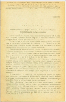 Перспективная форма томата, выведенная путем вегетативной гибридизации