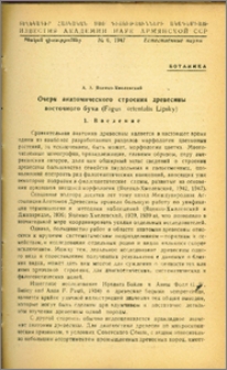 Очерк анатомического строения древесины восточного бука (Fagus orientalis lipsky)