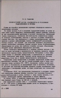Прорастание деток гладиолуса в условиях гидропоники и почвы