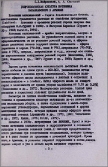 Гидропоническая культура котовника закавказского в Армении