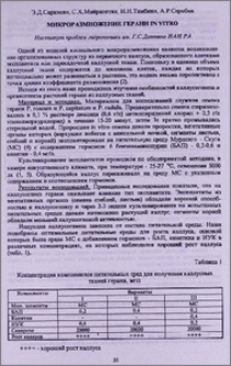 Микроразмножение герани in vitro