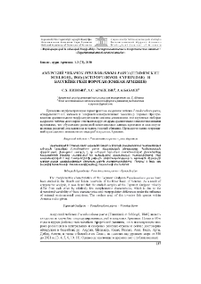 Амурский чебачок Pseudorasbora Parva (Temminck ET Schlegel, 1846) (Actinopterygii: Cyprinidae) в бассейне реки Воротан (Южная Армения)
