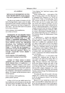 New data on distribution of two rare orchid species (Orchis tridentata Scop, and O. papilionacea L.) in Armenia