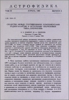 Сходство между протяженными компонентами радиогалактик и остатками сверхновых типа «плерионов»