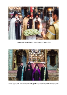 Նկարներ