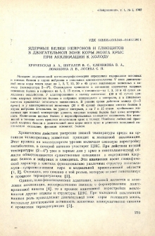 Ядерные белки нейронов и глиоцитов в двигательной зоне коры мозга крыс при акклимации к холоду