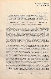 Функционирование митохондрий мозга при совместном воздействии на организм куриных эмбрионов низкой температуры среды инкубирования и ультрафиолетового облучения