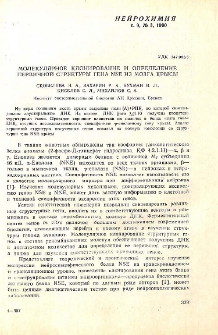 Молекулярное клонирование и определение первичной структуры гена NSE из мозга крысы