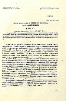 Репарация ДНК в нервных клетках млекопитающих