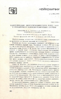 Идентификация нейроспецифического белка 14-3-2 в бесклеточно белоксинтезирующей системе