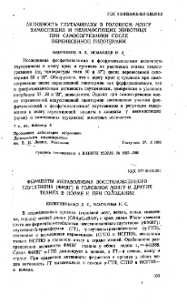 Ферменты метаболизма восстановленного глутатиона (ФМВГ)в головном мозгу и других тканях в норме и при голодании