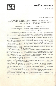 Иммунохимическое изучение деградации глиального фибриллярного кислого белка (GFAP) катепсином D из мозга