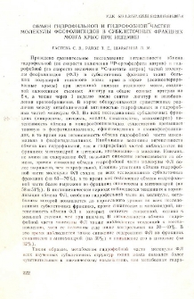 Обмен гидрофильной и гидрофобной частей молекулы фосфолипидов в субклеточных фракциях мозга крыс при ишемии