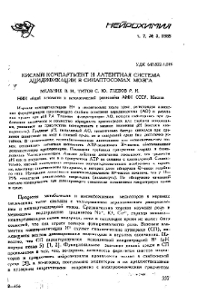 Кислый компартмент и латентная система ацидификации в синаптосомах мозга