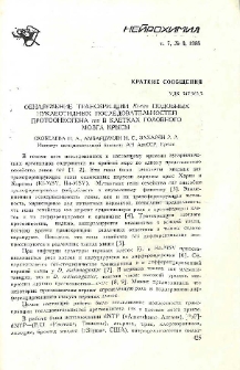 Обнаружение транскрипции Кi-ras подобных нуклеотидных последовательностей протоонкогена ras в клетках головного мозга крысы