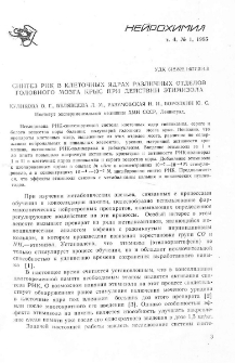 Синтез РНК в клеточных ядрах различных отделов головного мозга крыс при действии этимизола