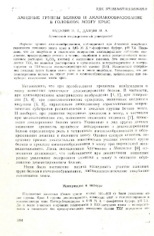 Амидные группы белков и аммикообразование в головном мозгу крыс