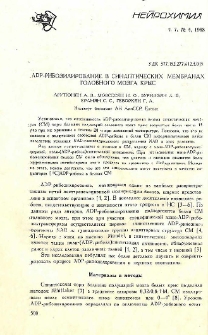 ADP-рибозилирование в синаптических мембранах головного мозга крыс