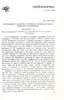 Спермидин и спермин в отделах головного мозга крыс при гипероксии