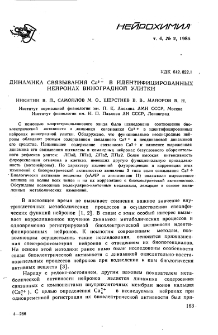 Динамика связывания Ca2+ в идентифицированных нейронах виноградной улитки