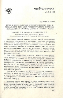 Белки и РНК в клетках супраоптического ядра и дорзального ядра шва головного мозга сусликов, невпадавших в зимнюю спячку в октябре-марте