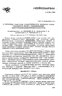 О природе участков синаптических мембран коры головного мозга, связывающих никотинамидадениндинуклеотид