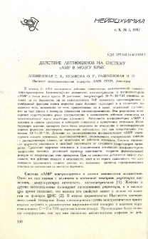 Действие антифеинов на систему сAMP в мозгу крыс