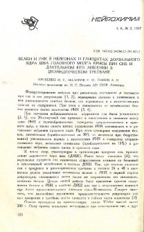 Белки и PHK в нейронах и глиоцитах дорзального ядра шва головного мозга крысы при сне и длительном его лишении в цилиндрическом третбане