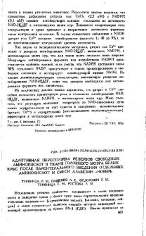 Адаптивная перестройка резервов свободных аминокислот в ткани головного мозга белых крыс после парентерального введения отдельных аминокислот и смеси альвезин «новый»