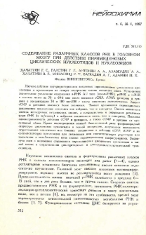 Содержание различных классов РНК в головном мозгу при действии пиримидиновых циклических нуклеотидов и нуклеозидов